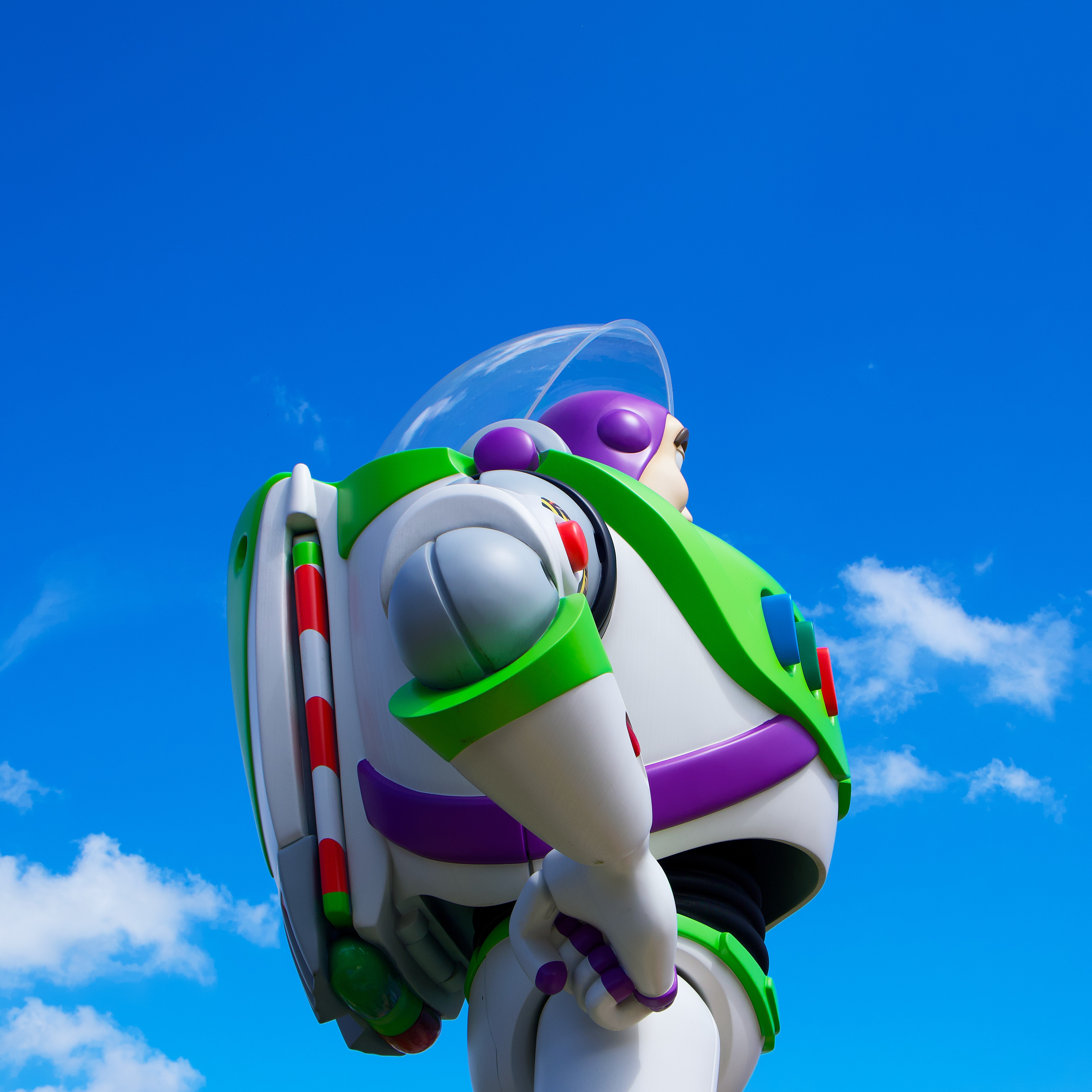 buzzie